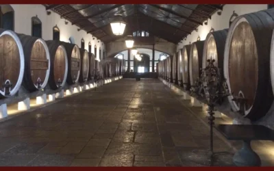 Colares Wine Region